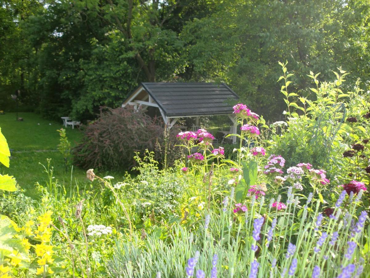 Casa vacanze Lawendowa Dolina *